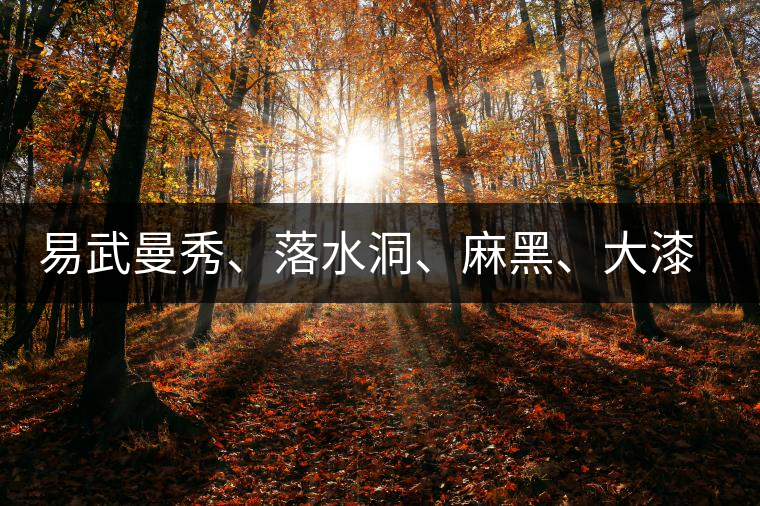 易武曼秀、落水洞、麻黑、大漆樹等你更喜歡哪個(gè)茶？