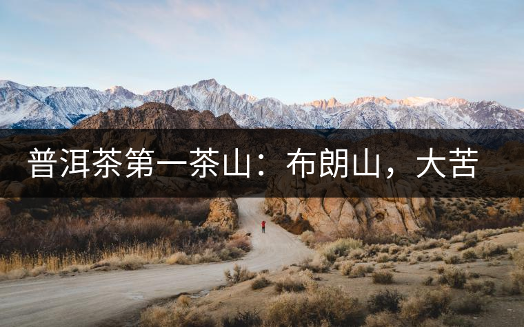 普洱茶第一茶山：布朗山，大苦大甘是它的魂