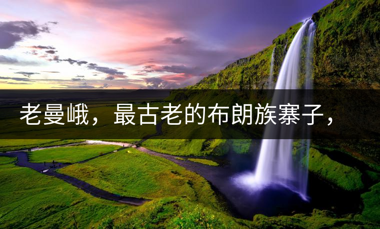 老曼峨，最古老的布朗族寨子，最極端的普洱茶