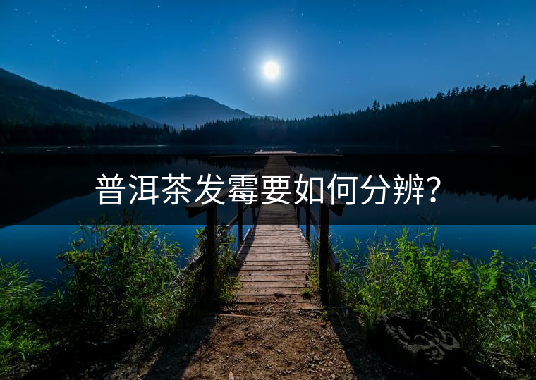 普洱茶發(fā)霉要如何分辨？
