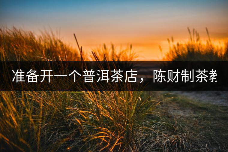 準備開一個普洱茶店，陳財制茶教你怎么做！
