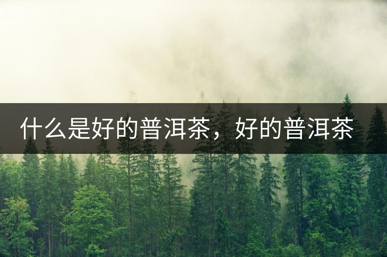 什么是好的普洱茶，好的普洱茶必須要有好的工藝！