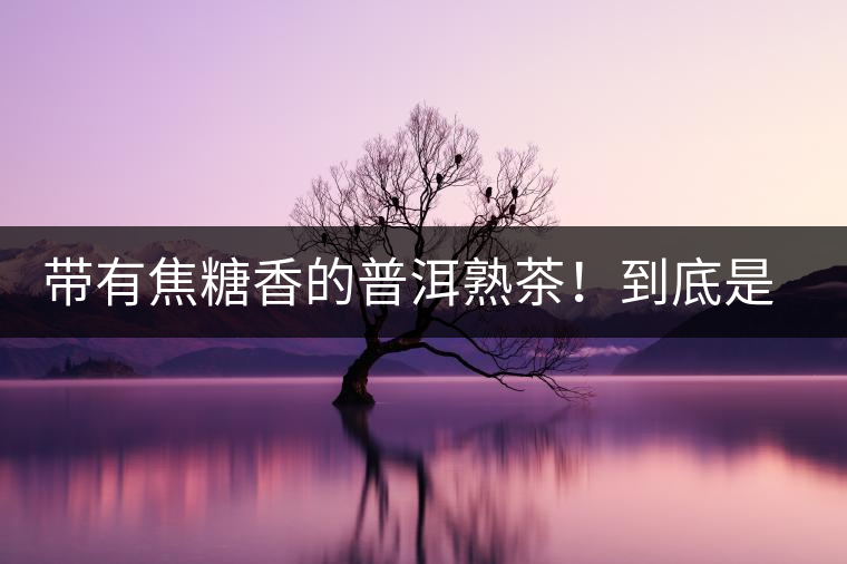 帶有焦糖香的普洱熟茶！到底是好是壞？