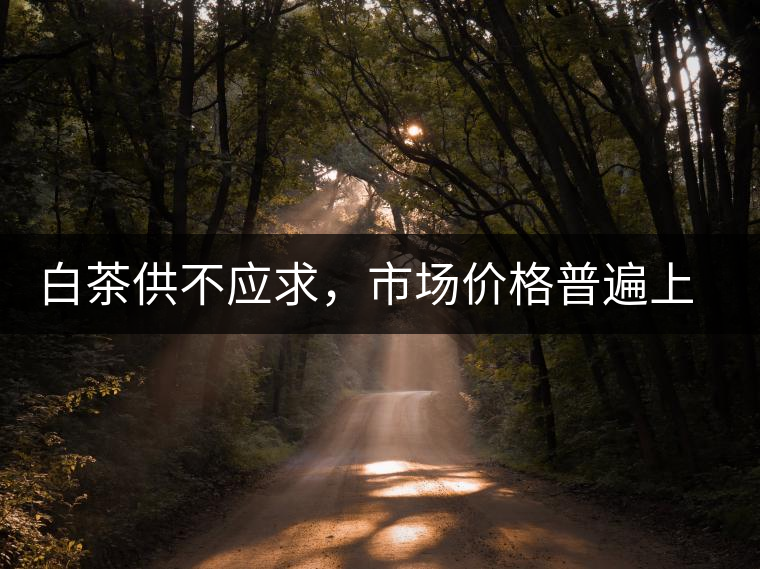 白茶供不應(yīng)求，市場價格普遍上漲？