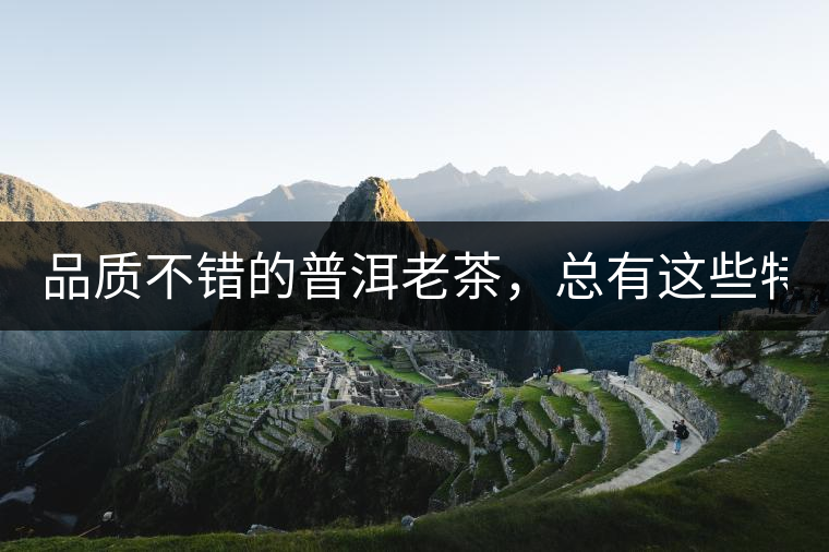 品質(zhì)不錯的普洱老茶，總有這些特點！
