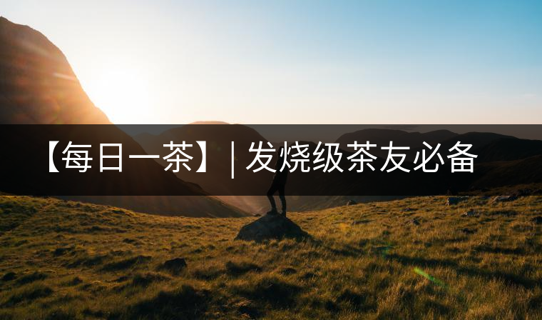 【每日一茶】| 發(fā)燒級(jí)茶友必備——品鑒易武·薄荷塘 【每日一茶】| 發(fā)燒級(jí)茶友必備——品鑒易武·薄荷塘