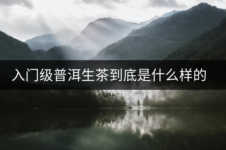 入門級普洱生茶到底是什么樣的口感？