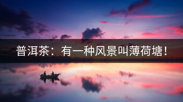普洱茶:有一種風(fēng)景叫薄荷塘! 普洱茶:有一種風(fēng)景叫薄荷塘!