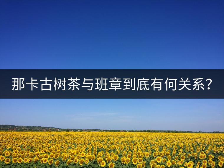 那卡古樹茶與班章到底有何關(guān)系? 那卡古樹茶與班章到底有何關(guān)系?