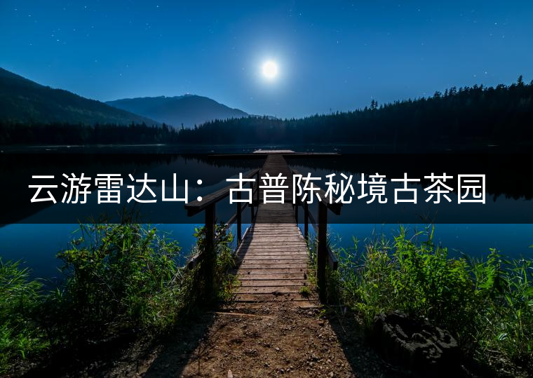 云游雷達(dá)山：古普陳秘境古茶園，品第一杯春鮮