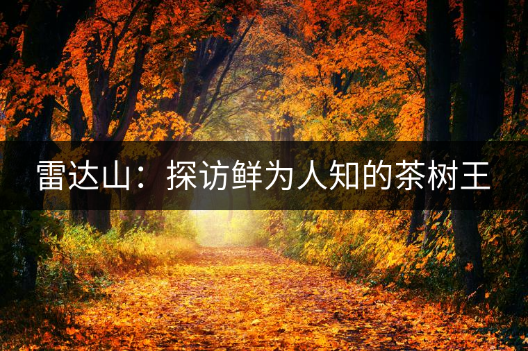 雷達山:探訪鮮為人知的茶樹王 雷達山:探訪鮮為人知的茶樹王