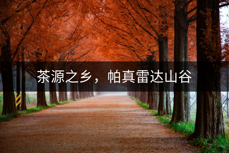 茶源之鄉(xiāng)，帕真雷達(dá)山谷