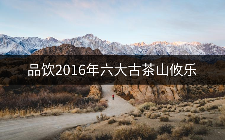 品飲2016年六大古茶山攸樂(lè) 品飲2016年六大古茶山攸樂(lè)
