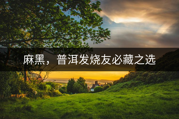 麻黑，普洱發(fā)燒友必藏之選