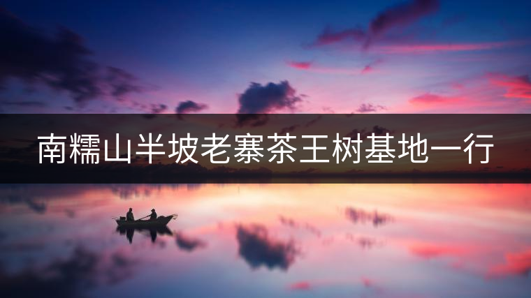 南糯山半坡老寨茶王樹基地一行 南糯山半坡老寨茶王樹基地一行