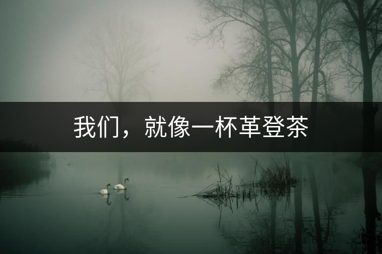 我們，就像一杯革登茶