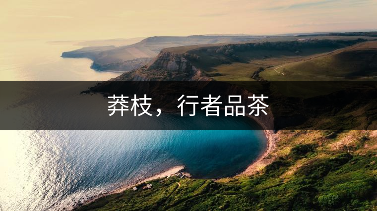 莽枝，行者品茶