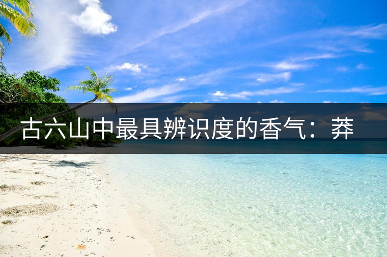 古六山中最具辨識(shí)度的香氣:莽枝 古六山中最具辨識(shí)度的香氣:莽枝