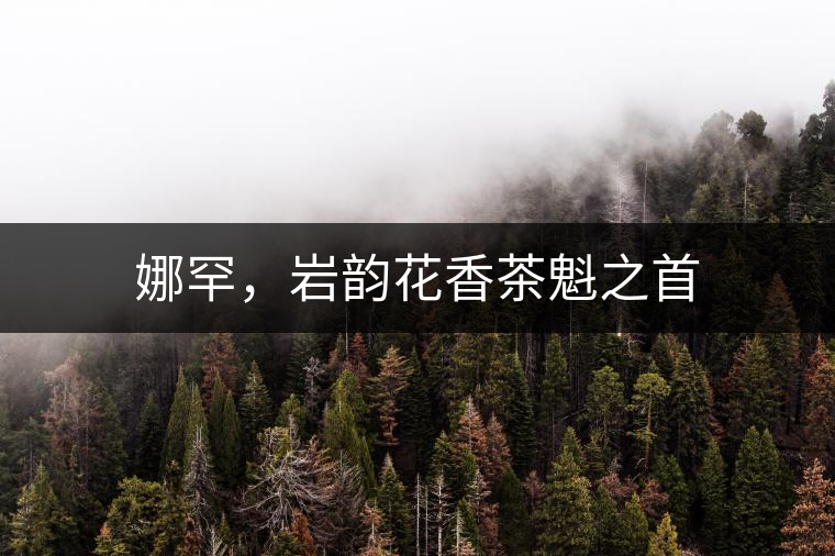 娜罕，巖韻花香茶魁之首