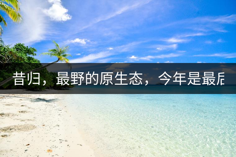 昔歸，最野的原生態(tài)，今年是最后一年了！