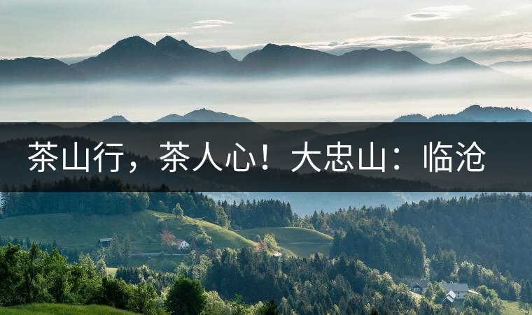 茶山行，茶人心！大忠山：臨滄之龍，雪山之熊