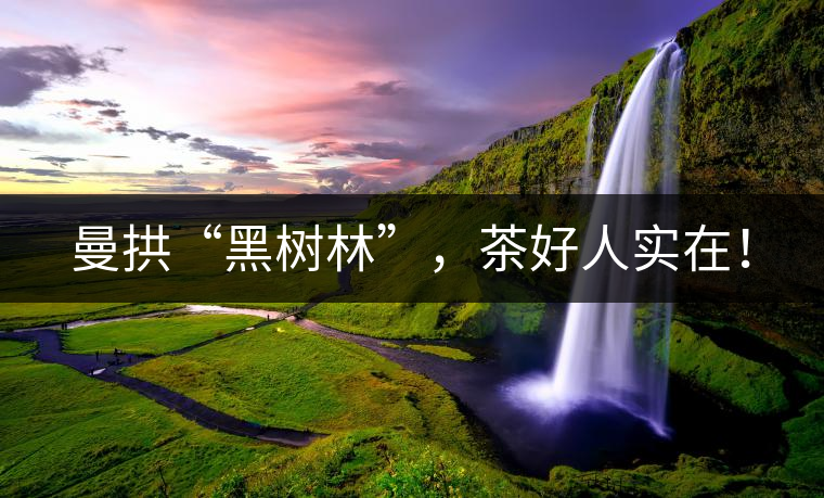 曼拱“黑樹林”，茶好人實(shí)在！