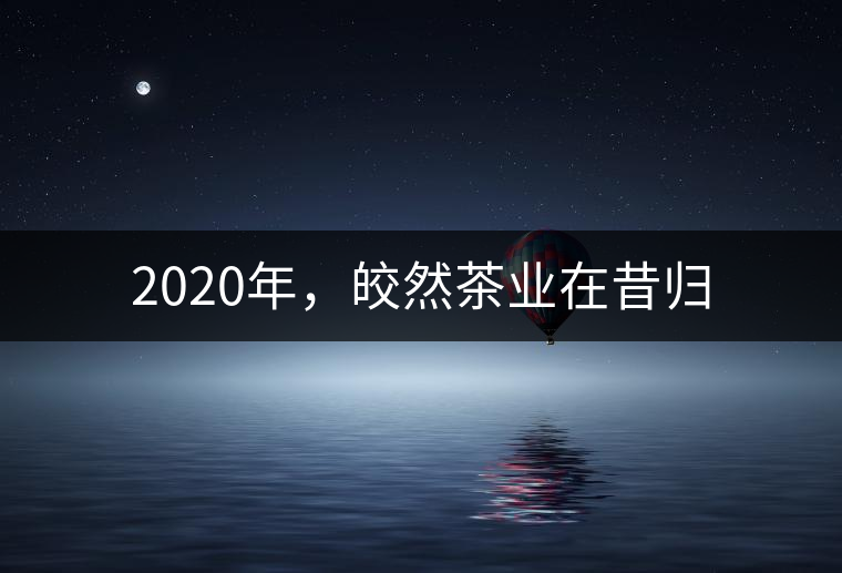 2020年，皎然茶業(yè)在昔歸