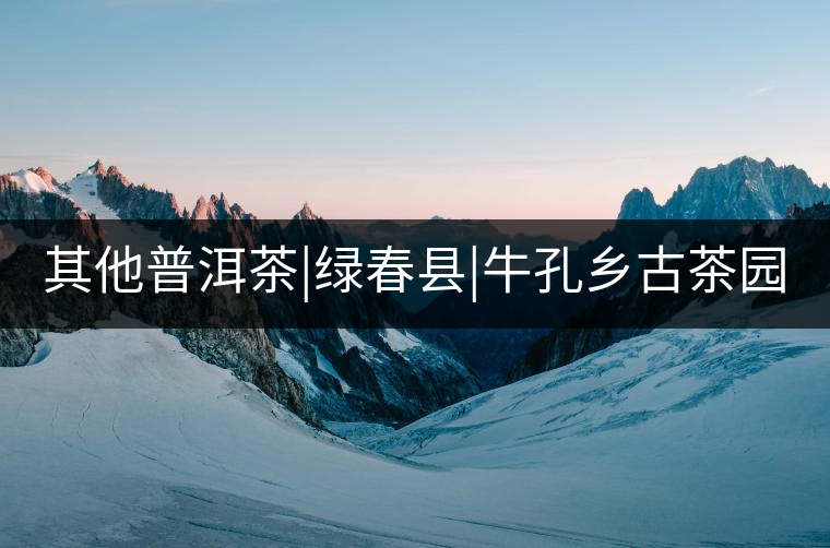 其他普洱茶|綠春縣|?？奏l(xiāng)古茶園