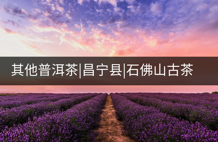 其他普洱茶|昌寧縣|石佛山古茶樹群 其他普洱茶|昌寧縣|石佛山古茶樹群