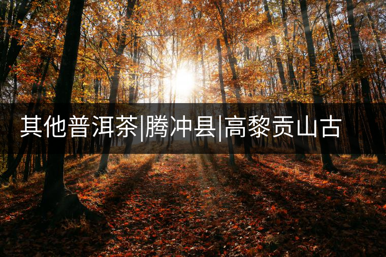 其他普洱茶|騰沖縣|高黎貢山古茶樹群 其他普洱茶|騰沖縣|高黎貢山古茶樹群