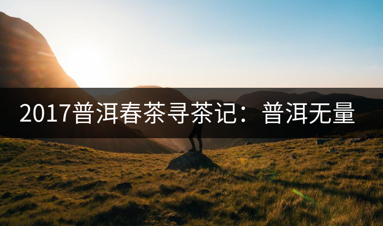 2017普洱春茶尋茶記：普洱無量山系列