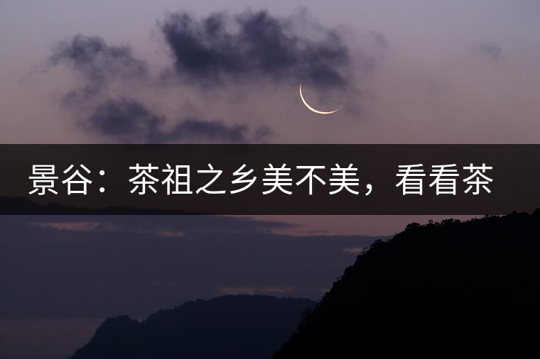 景谷：茶祖之鄉(xiāng)美不美，看看茶山和美人