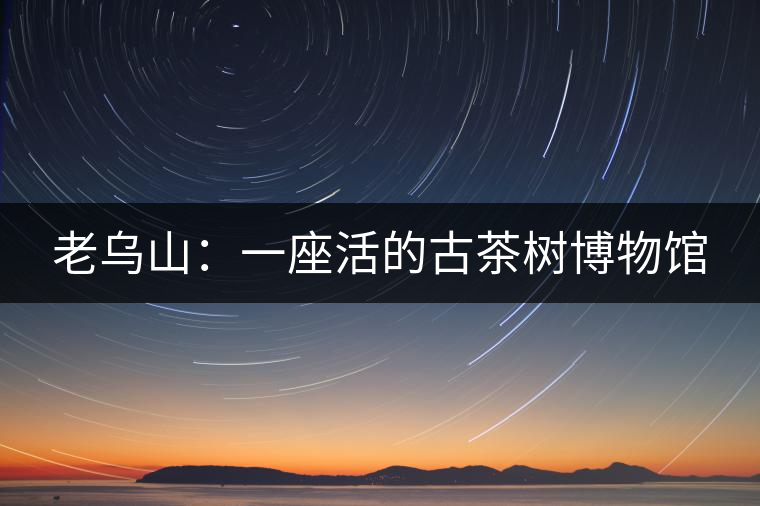 老烏山：一座活的古茶樹博物館