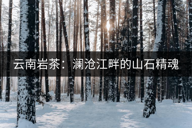 云南巖茶:瀾滄江畔的山石精魂 云南巖茶:瀾滄江畔的山石精魂