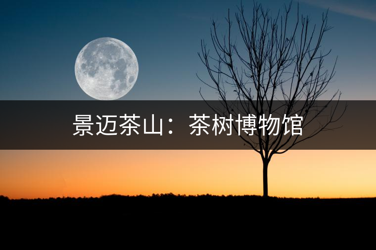 景邁茶山：茶樹(shù)博物館