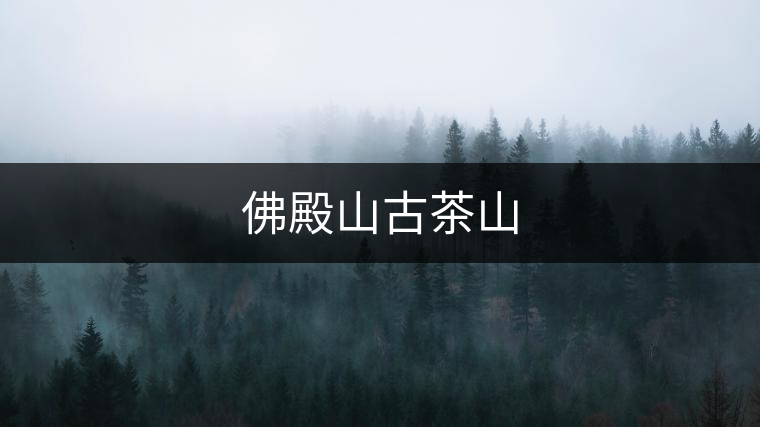 佛殿山古茶山 佛殿山古茶山