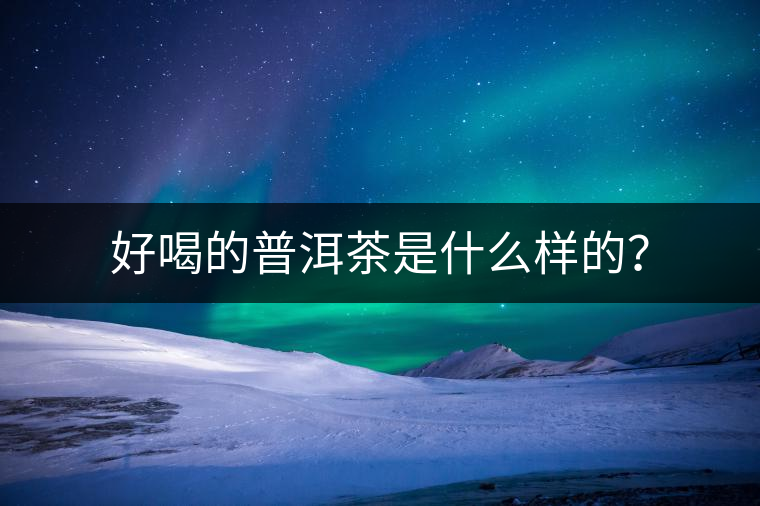 好喝的普洱茶是什么樣的？