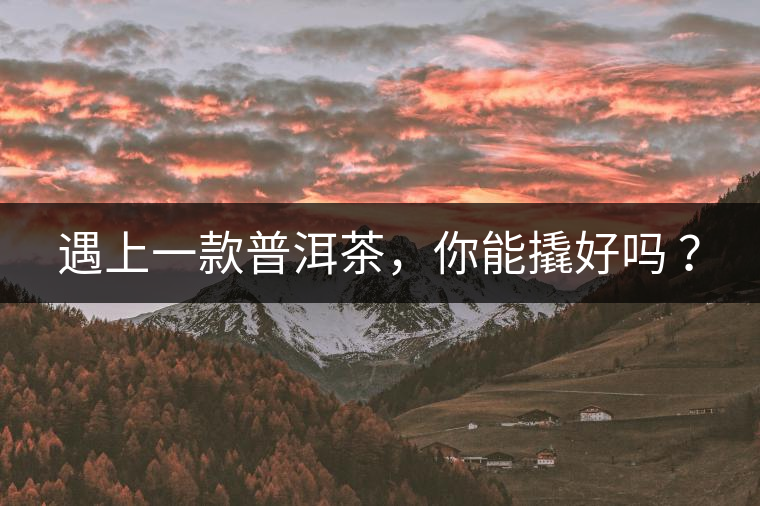 遇上一款普洱茶，你能撬好嗎 ？