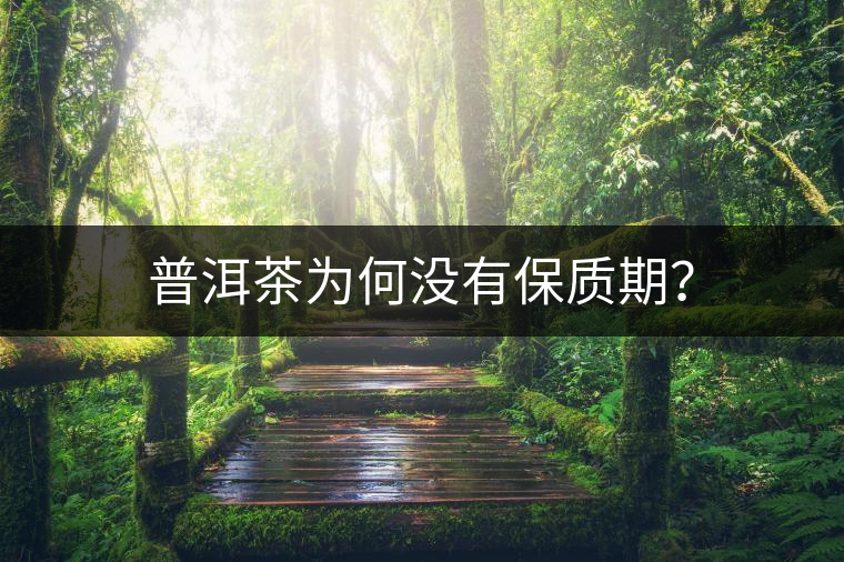 普洱茶為何沒有保質(zhì)期？