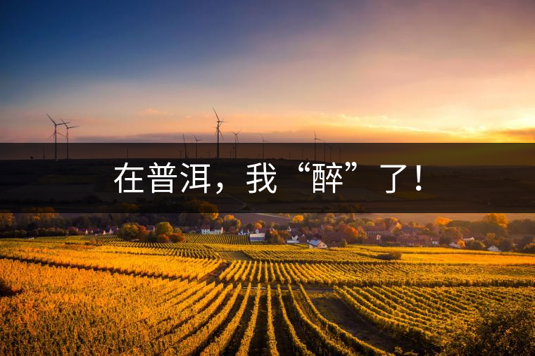 在普洱，我“醉”了！