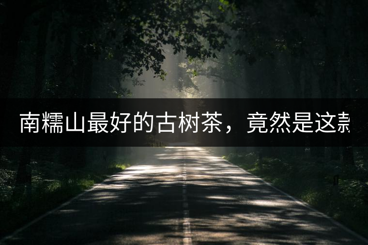 南糯山最好的古樹(shù)茶，竟然是這款！