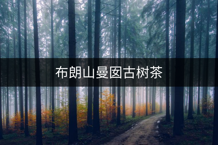 布朗山曼囡古樹(shù)茶 布朗山曼囡古樹(shù)茶