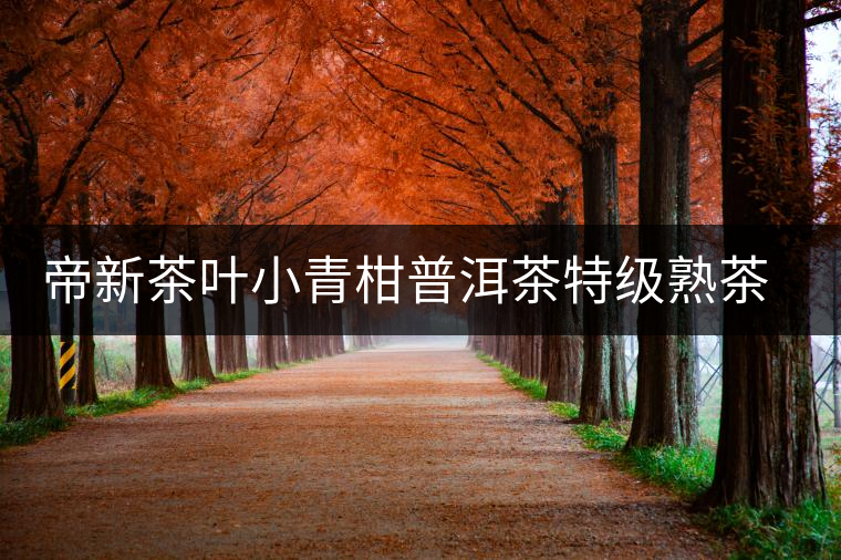 帝新茶葉小青柑普洱茶特級熟茶生曬正宗新會(huì)陳皮柑普茶桔普茶罐裝