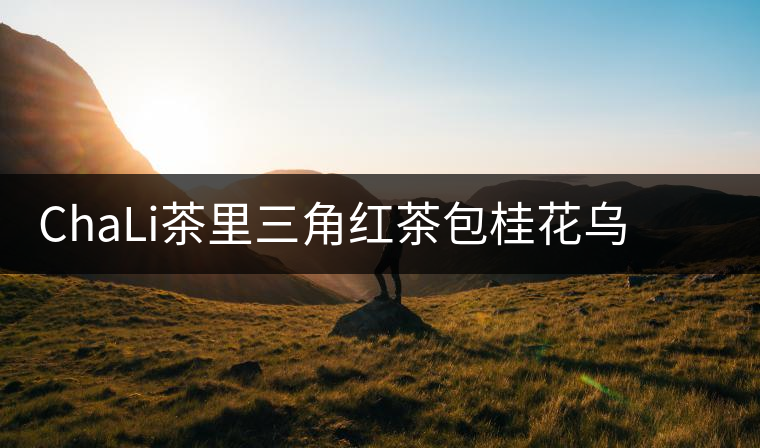 ChaLi茶里三角紅茶包桂花烏龍綠茶菊花茶普洱袋泡茶玫瑰花茶組合 ChaLi茶里三角紅茶包桂花烏龍綠茶菊花茶普洱袋泡茶玫瑰花茶組合