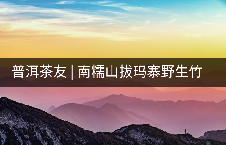普洱茶友 | 南糯山拔瑪寨野生竹蓀給看過？
