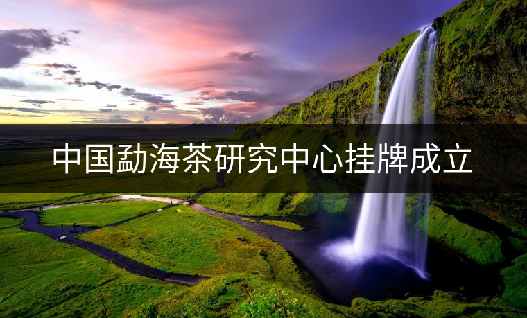 中國(guó)勐海茶研究中心掛牌成立 中國(guó)勐海茶研究中心掛牌成立