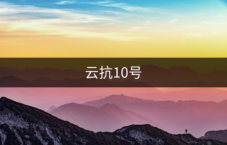 云抗10號 云抗10號