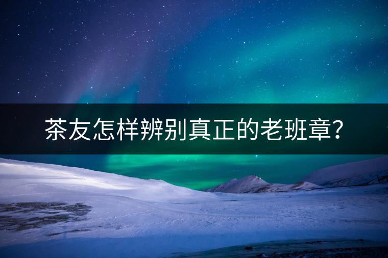 茶友怎樣辨別真正的老班章？