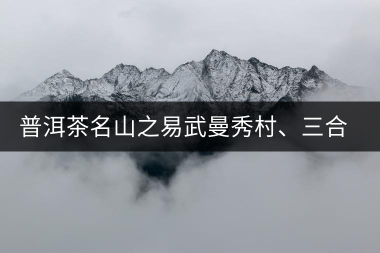 普洱茶名山之易武曼秀村、三合社村