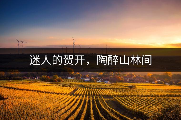 迷人的賀開，陶醉山林間